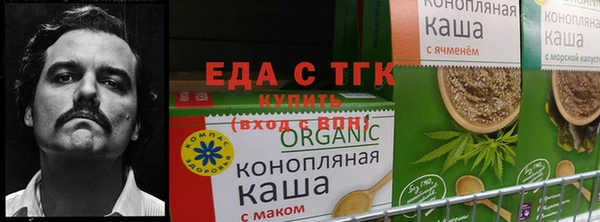 jwh Осинники