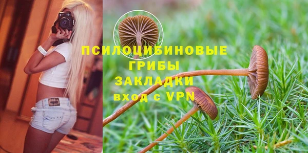 таблы Осташков