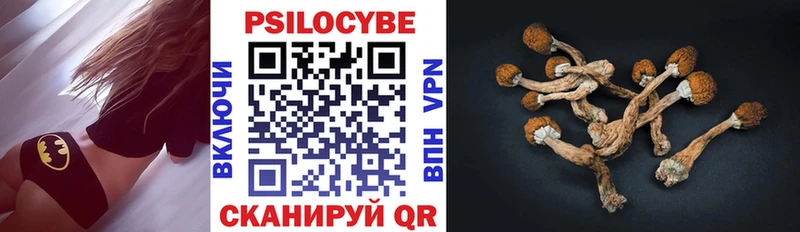 Псилоцибиновые грибы MAGIC MUSHROOMS  закладки  Задонск 